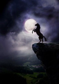 Wild Rearing Mustang High on a Rock With Moonlight.