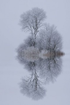 winter reflection!