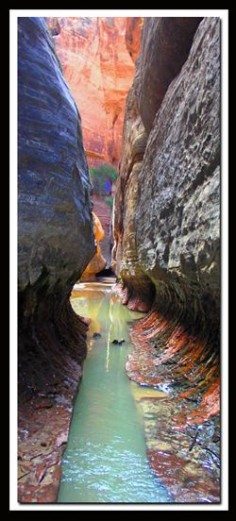 Zion National Park - Utah- The Subway hike