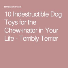 10 Indestructible Dog Toys for the Chew-inator in Your Life - Terribly Terrier