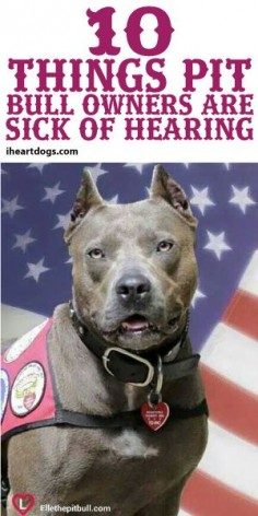 10 Things Pit Bull Owners Are Sick Of Hearing