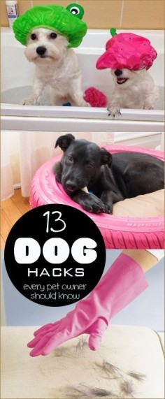 13 Dog Hacks Every Pet Owner Should Know.  Tips and tricks for caring, cleaning and keeping dogs happy and healthy.