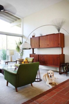 15 Essential Ingredients for a Mid Century Modern Style Home