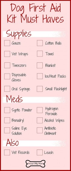18 Dog First Aid Kit Essentials | Pet First Aid | DIY First Aid Kit | Dog Health | Dog Infographic |