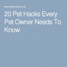 20 Pet Hacks Every Pet Owner Needs To Know