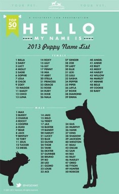 2013 Most Popular Dog Names this isn't the first list that I have seen where my baby girl is at the top of the list (: