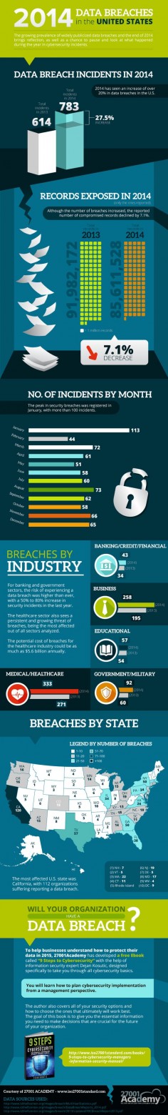 2014 Data Breaches in the United States Infographic