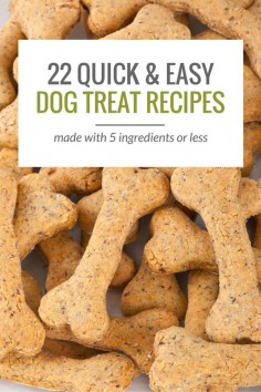 22 Simple Dog Treat Recipes With 5 Ingredients or Less.
