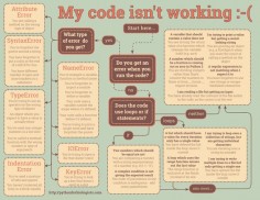 29 common beginner #Python errors on one page. #flowchart #infographic