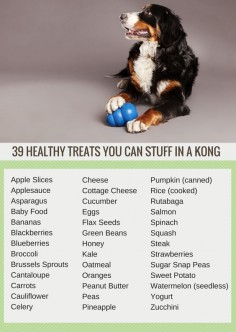 39 Healthy Snacks to Stuff in a Kong