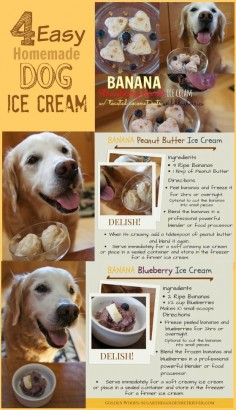 4 Easy Homemade Dog Ice Cream Recipes - Sugar The Golden Retriever