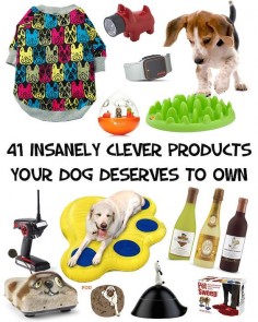 41 Insanely Clever Products Your Dog Deserves To Own. Most of these things are so dumb and yet I want to buy almost everything haha.