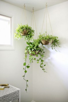 45 Truly Unique DIY Hanging Planters You Can Easily Make At Home