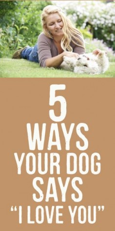 5 Ways Your Dog Says, "I Love You"