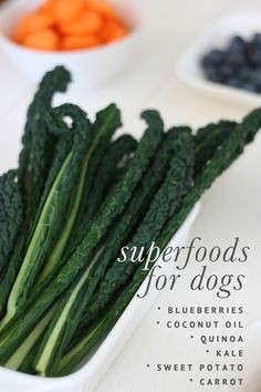 7 Superfoods for Dogs | Pretty Fluffy #dogs #cookingfordogs #dogrecipes