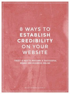 8 top ways to establish credibility on your website | Establishing credibility is key to building a successful brand and business online. Without it, you will struggle to turn visitors to your website into paying customers.