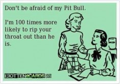 8 ways to advocate for pitbulls even if you don't own a pitbull ...