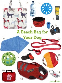 A beach bag for your Dog