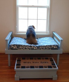 a dog has to have a window seat too! and a bench to get up on the window seat if they are short and fat
