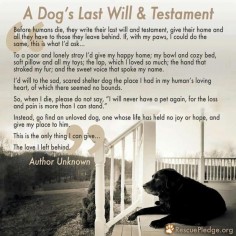 A dog's last will and testament This dog is a lab my lab passed away and I saved a dog off the streets and then I read this and it makes me cry  I miss champ but love Meg