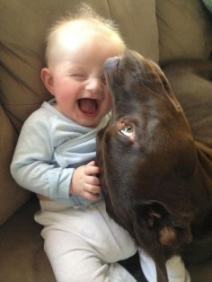 A goofy dog successfully entertaining a baby: | 30 Animal Pictures That Will Make You A Better Person