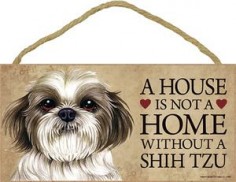 A House is Not a Home Without a Shih Tzu