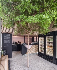 A large tree grows through the centre of this Amsterdam cold pressed juice shop, which local practice Standard Studio designed to reflect the city's hidden green spaces
