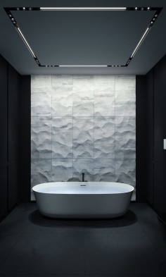 A minimalist bachelor bathroom in black and white . marble, slate, antonio lupi. SHADES OF GRAY - A MINIMALIST PENTHOUSE by ARSENIY KERZMAN, via Behance