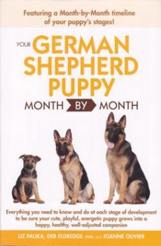 A month by month guide to your German Shepherd puppy's first year, you'll find everything you need to know and do at each stage of development. Detailed information and tips help you make sure your pup grows into a happy, healthy, confident and well-adjusted companion. Veterinary expert Deb Eldredge, DVM, and long-time German Shepherd breeder Joanne Oliver lend their expertise in this comprehensive reference for new puppy owners.