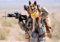 A story in Fast Company about Soldier Dogs.