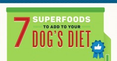 A superfood is a food which is high in nutrients, low in calories and has extra properties which make it nourishing. Learn about the top 7 superfoods to add to your dog's diet with this infographic from EntirelyPets!