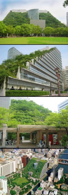 ACROS Building in Japan - The building features a step-up façade laced with more than 50,000 plants. The roof is part of a huge 1 million square foot building that features office space, shops, theater and museum.