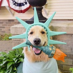 Addie | thegoldensrule: Life, Liberty, and the Pursuit of Happiness.
