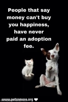 Adopt and be happy,,They Will Warm Your Heart and Make You Smile,and Give You Precious 