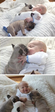 Adorable 3-month old baby boy and french bull dog puppies