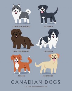 Adorable Drawings of Dog Breeds, Grouped By Their Place of Origin