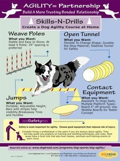 AGILITY= Partnership - Build A More Trusting Bonded Relationship with Your Dog #Agility #Partnership #dogs #pets #ShermanFinancialGroup