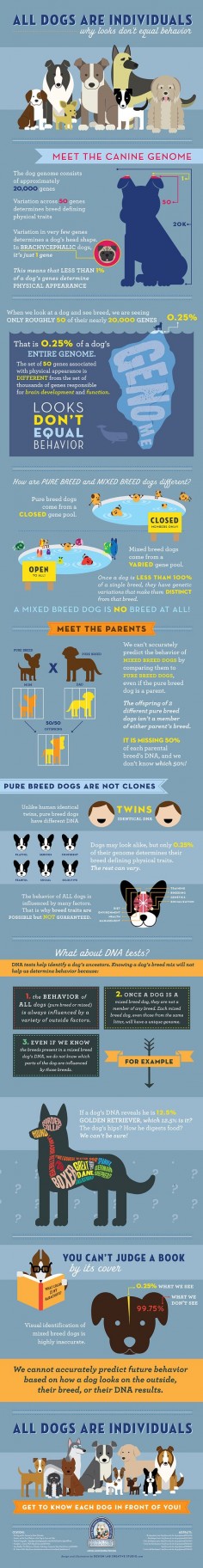 All Dogs Are Individuals - Pet Infographic #pet #infographic