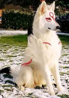 Amaterasu #IRL #Cosplay from Okami | This is  I want this breed of dog lol