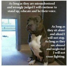 Amen its the owner not the dog that shows how well a dog can act/behave. If I was starved and beaten I would be pretty mean too.