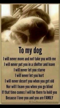 And I never did, but I was there for both my boys in the end. They were my life and I miss them everyday.