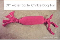 And if your pet loses a toy while you’re on the road, make a crinkle toy from a sock and an empty water bottle.