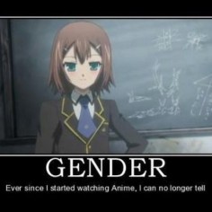 Anime and  Motivational poster. That's actually a  I knew from the very begin of Baka to Test anime that this is a Guy~ I also could tell there Genders really fast just by looking at them