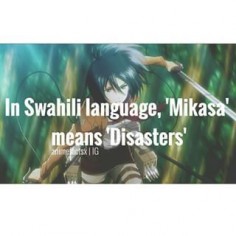 Anime: Attack on Titan Characters: Mikasa Ackerman