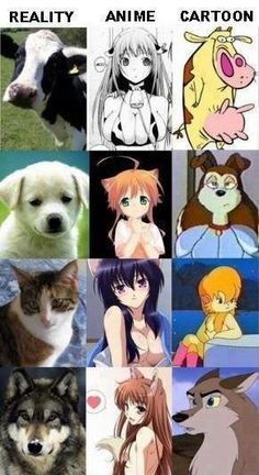 anime VS cartoon VS reality ~ me #anime #memes #funny #manga