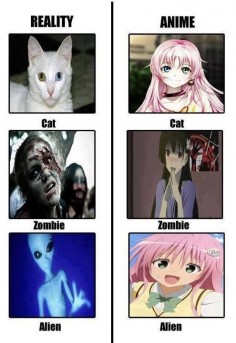 anime VS reality ~ me #anime #memes #funny #manga
