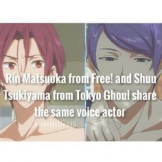 animefacts rin and tsukiyama
