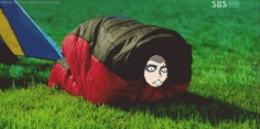 aot funny gifs - Google Search