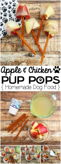 Apple & Chicken Pup Pops | Homemade Dog Food on Frugal Coupon Living. Homemade Dog Treat Recipe.