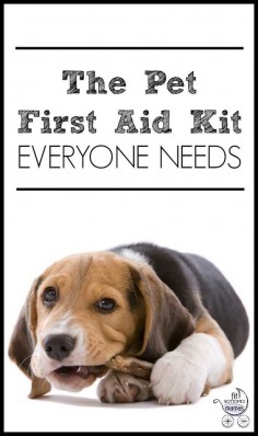 Are you prepared in case of a pet emergency? | Fit Bottomed Mamas